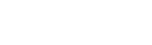 VINT Logo